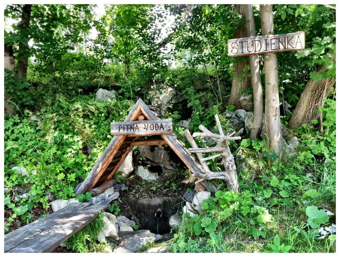 Vila Studienka วิสโซเค ดาตรี ภายนอก รูปภาพ